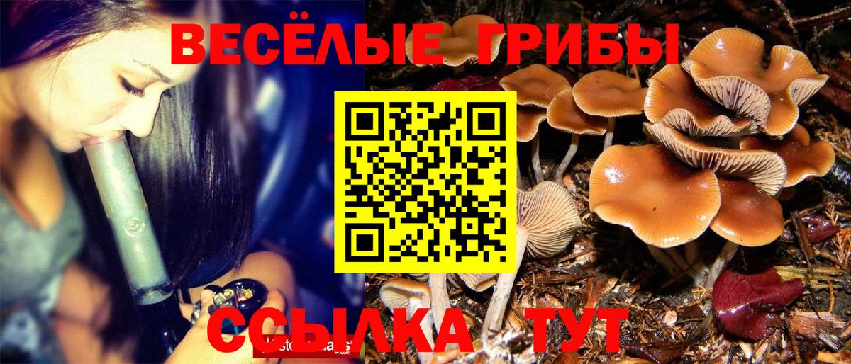 купить  цена  Вход с VPN  Галлюциногенные грибы прущие грибы  Назарово  Псилоцибиновые грибы мицелий 