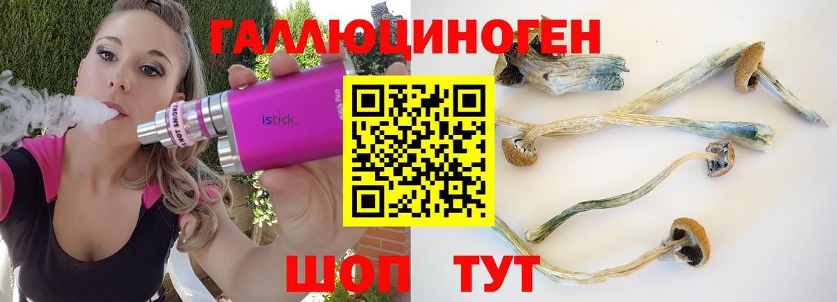 Галлюциногенные грибы Psilocybe Назарово